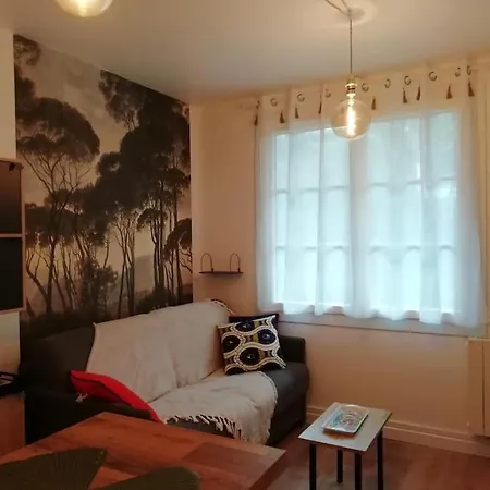 Apartment Douillet Proche Arcachon