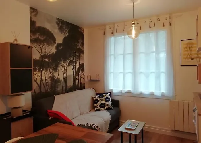 Appartamento Douillet Proche Arcachon